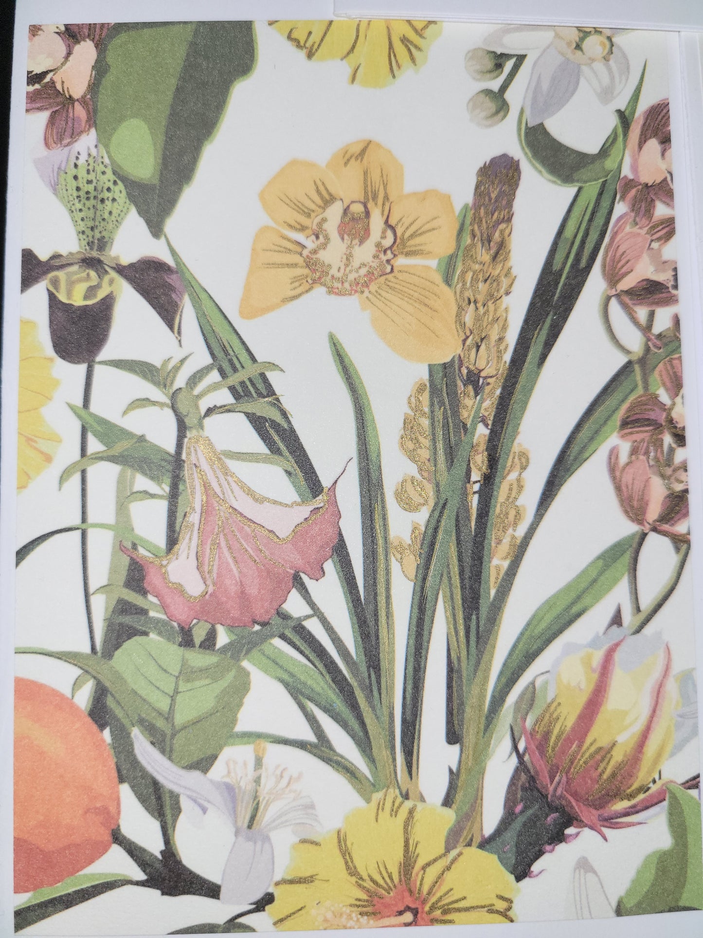Set of 5 A6 floral blank cards