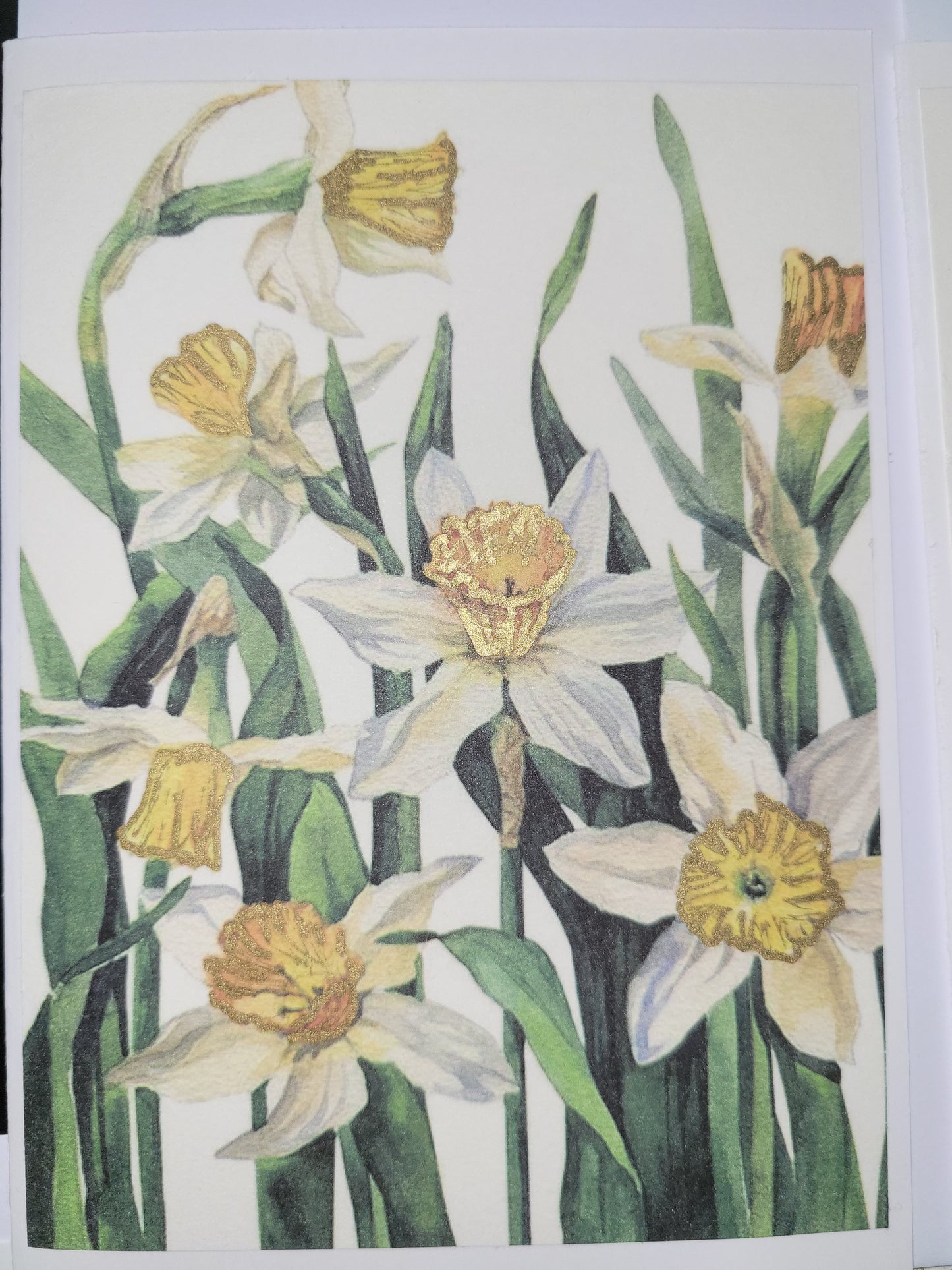Set of 5 A6 floral blank cards