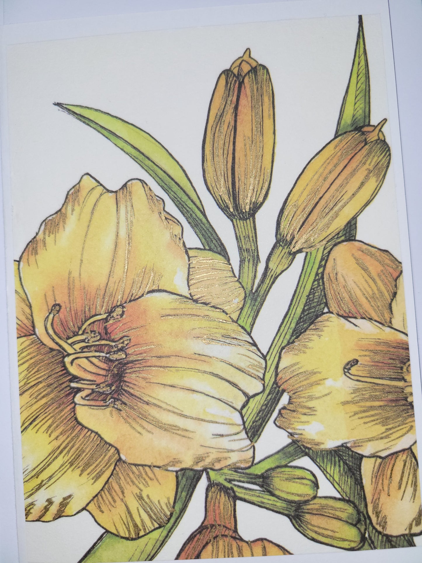 Set of 5 A6 floral blank cards