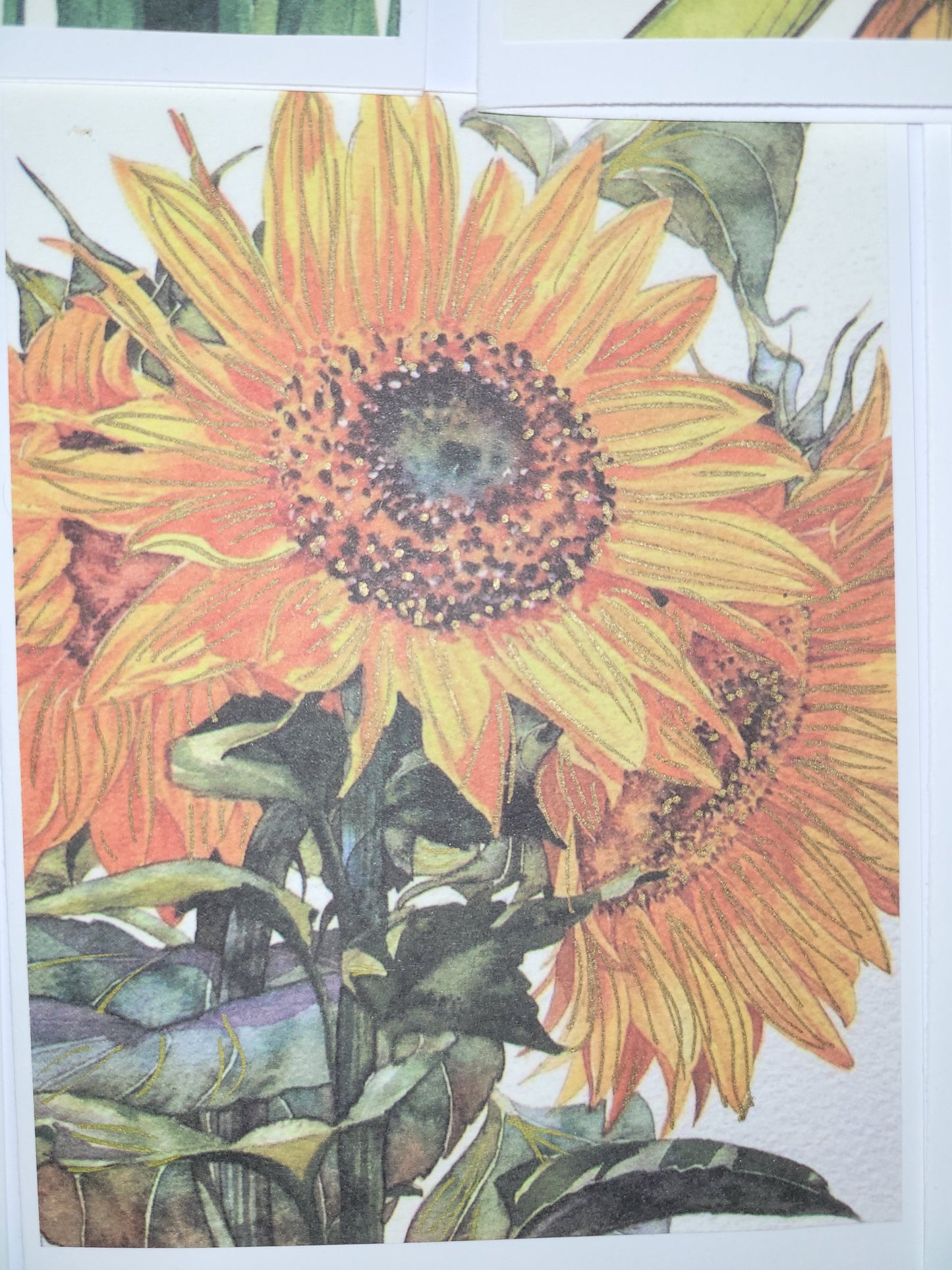 Set of 5 A6 floral blank cards