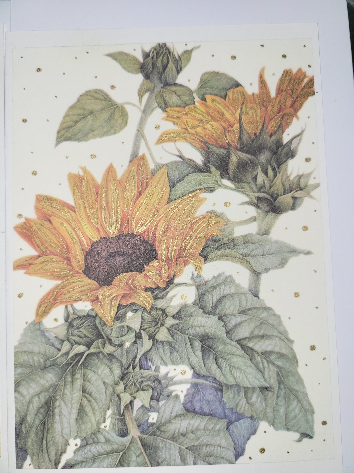 Set of 5 A6 floral blank cards
