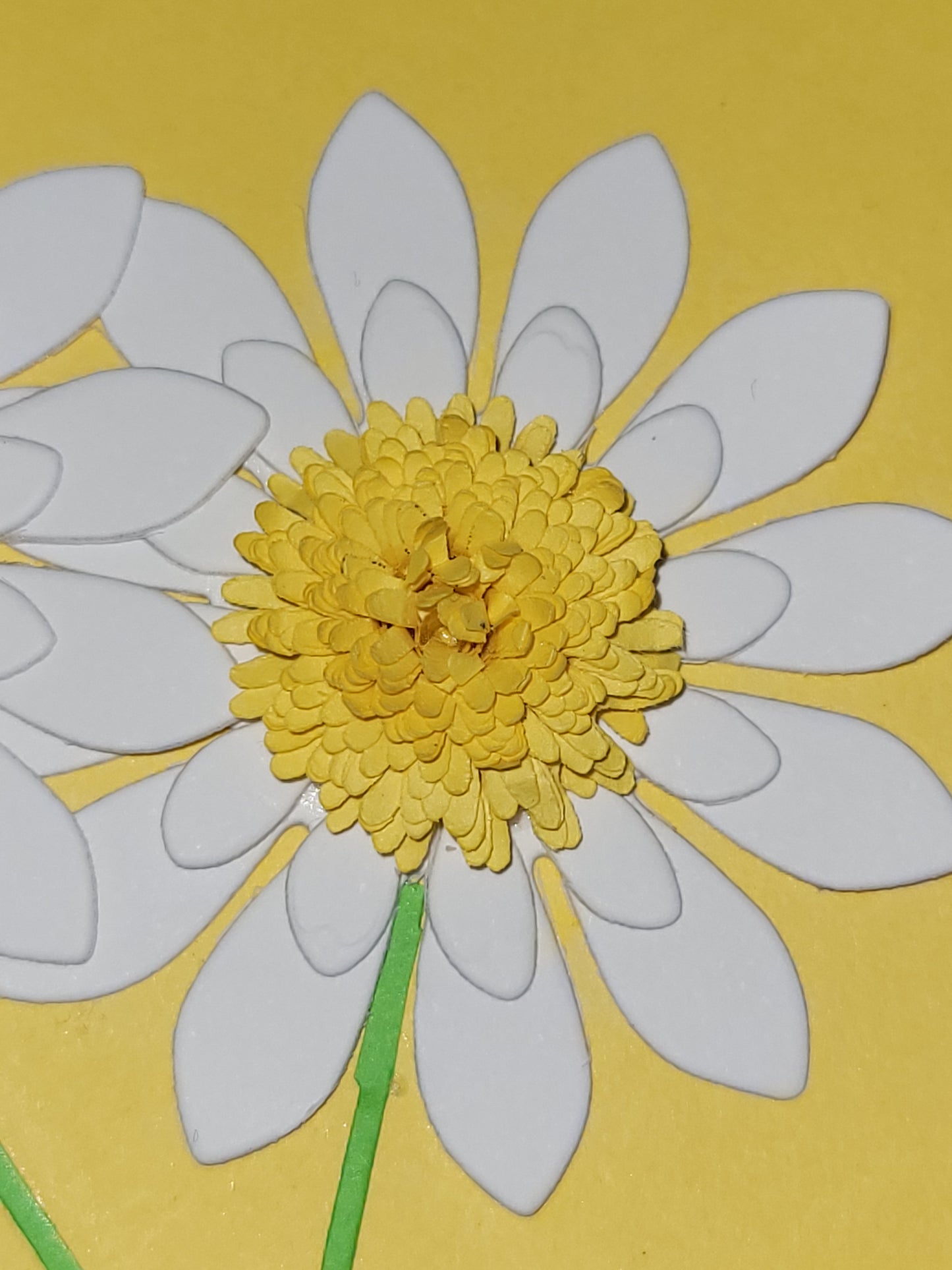 A6 Daisy Happy Birthday blank card