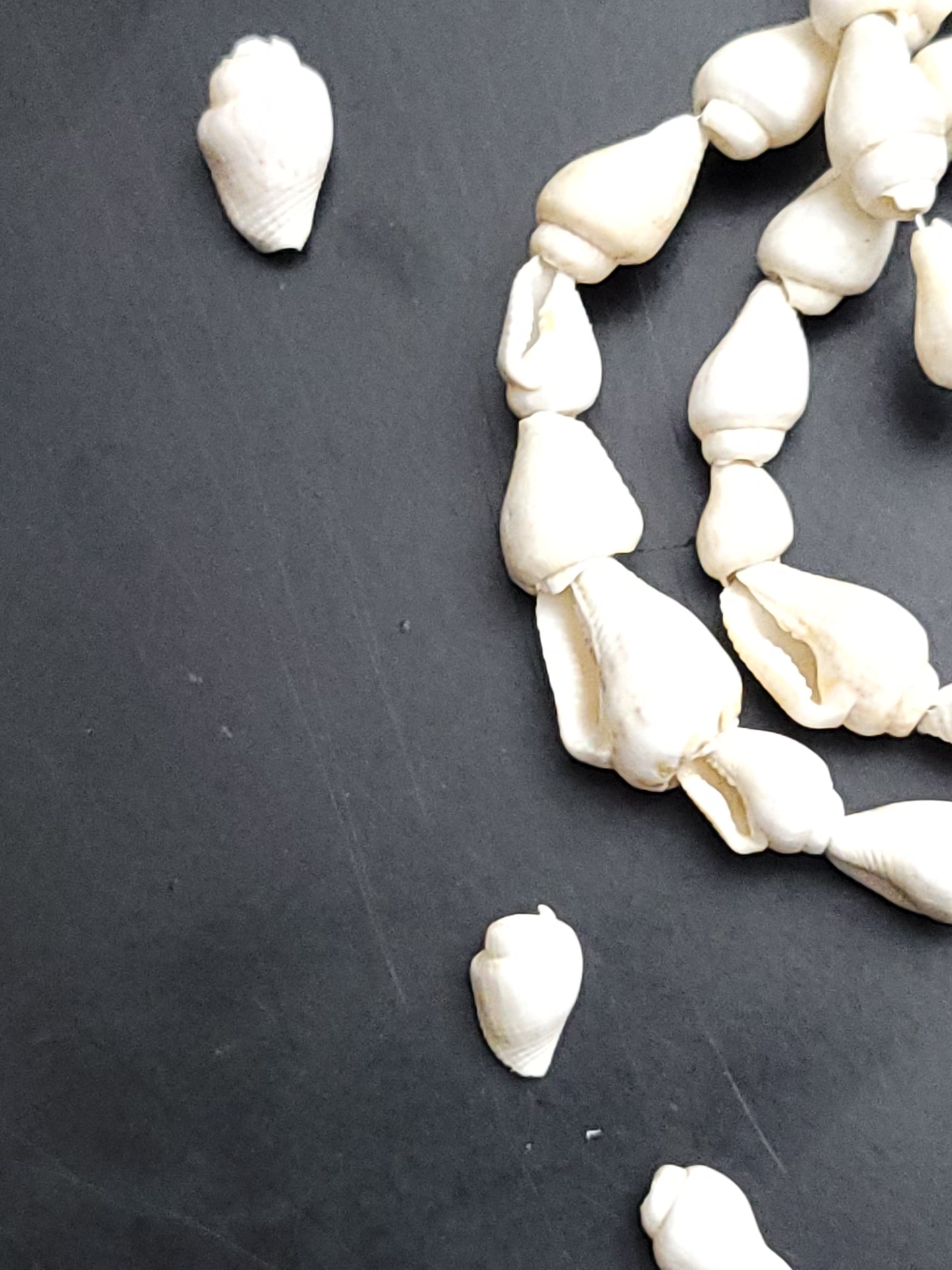 Recycled Mini drilled natural shells (beads)