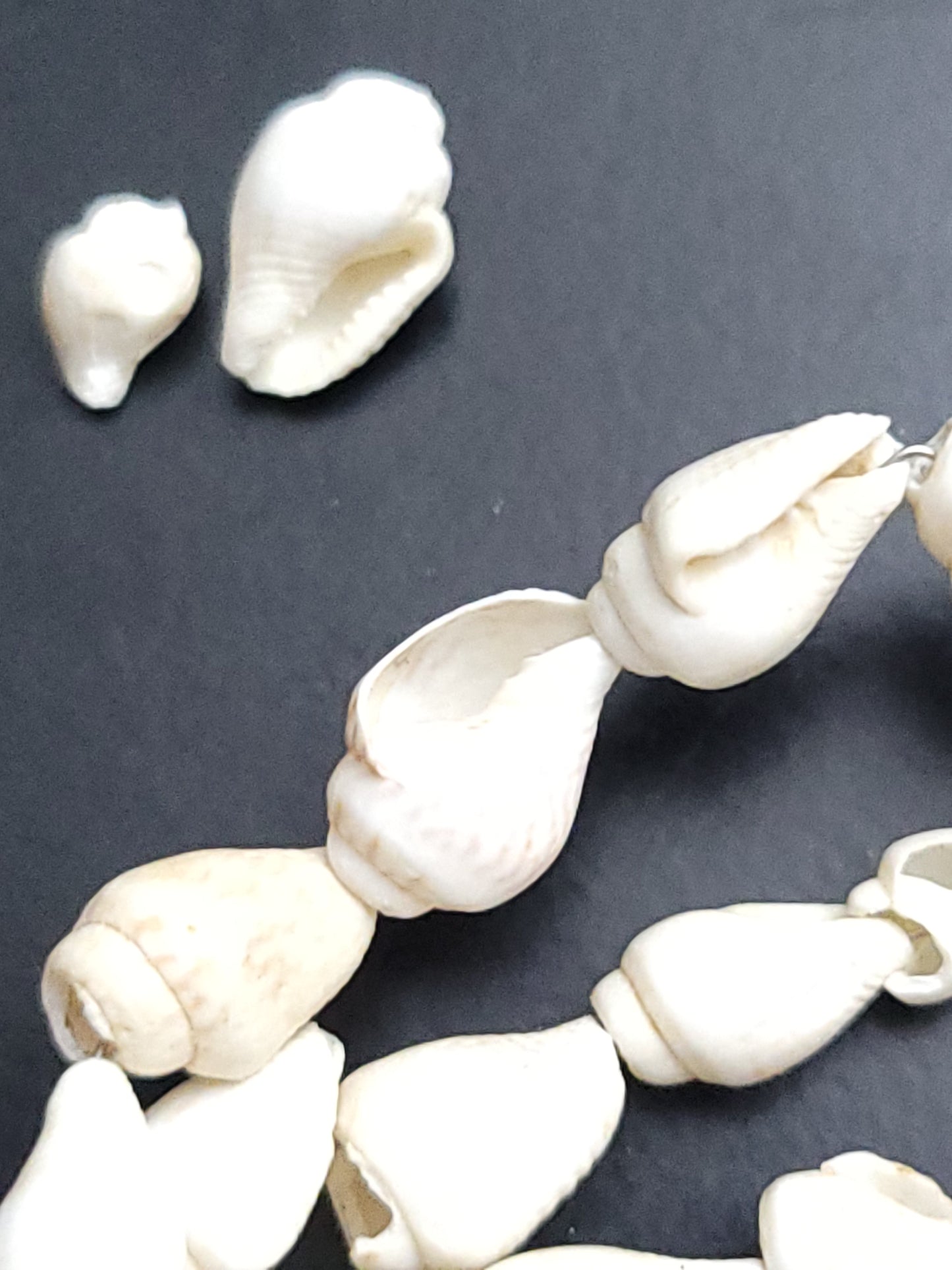 Recycled Mini drilled natural shells (beads)