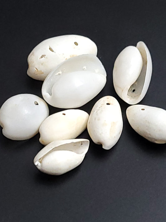 Recycled small drilled natural shells (beads)