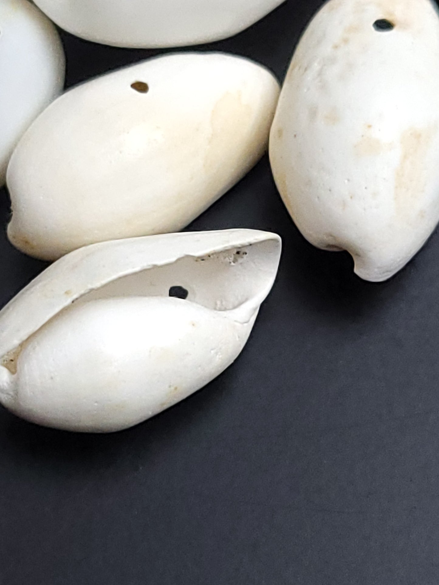 Recycled small drilled natural shells (beads)