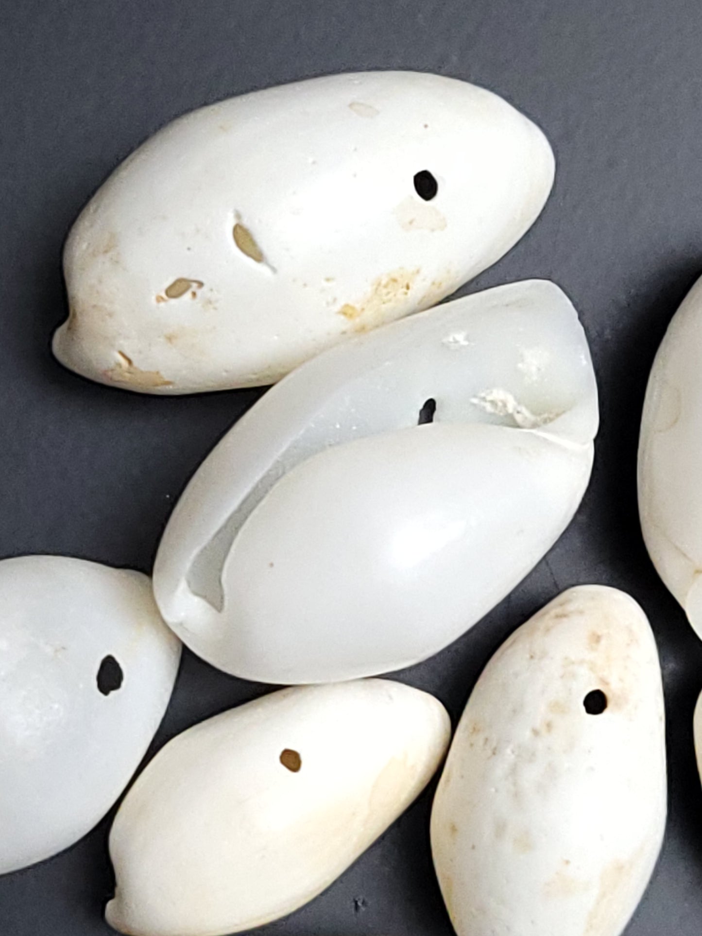 Recycled small drilled natural shells (beads)