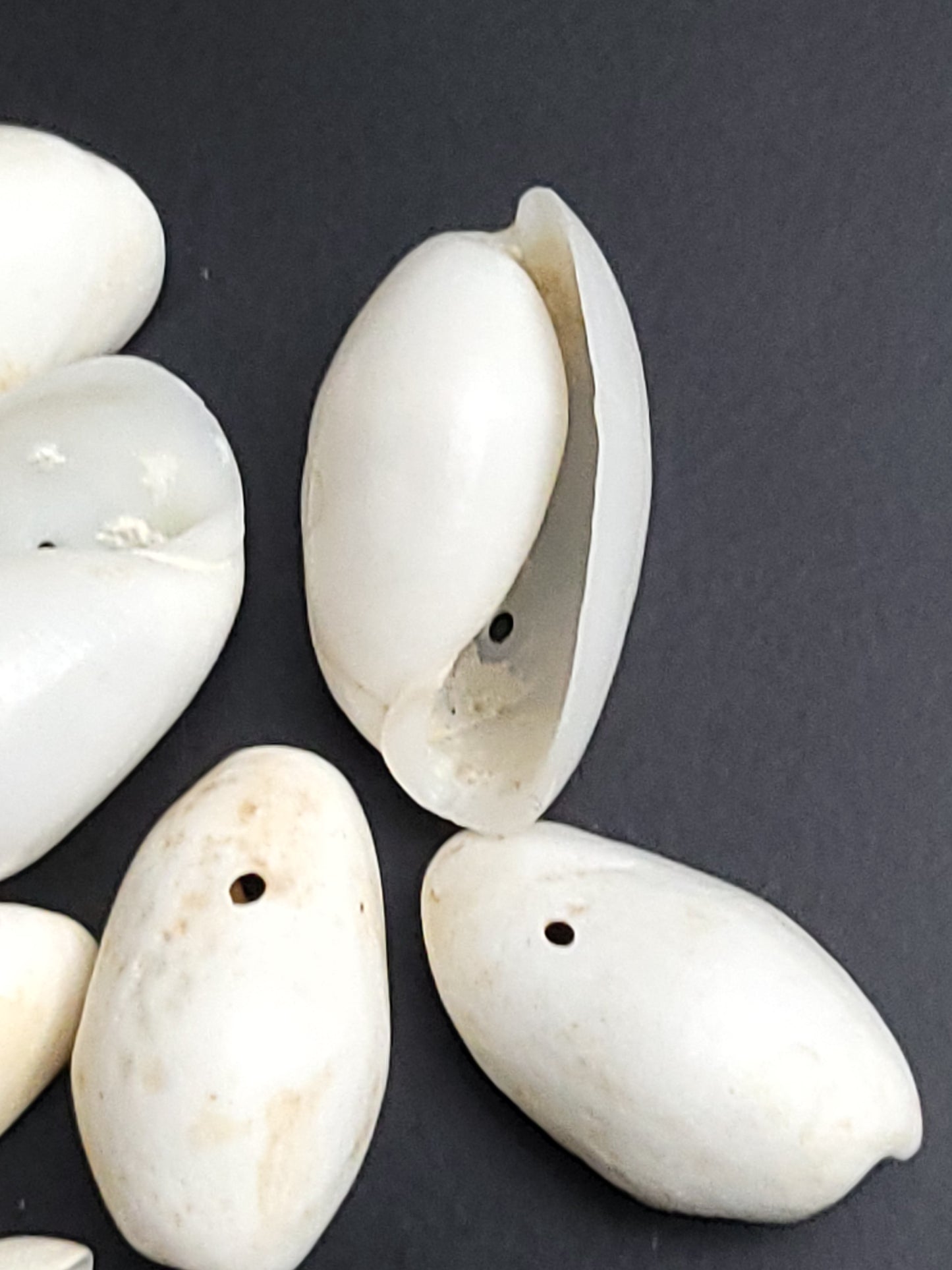 Recycled small drilled natural shells (beads)