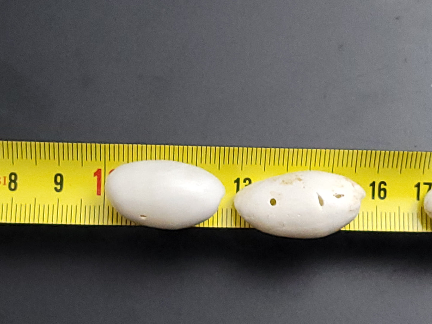 Recycled small drilled natural shells (beads)