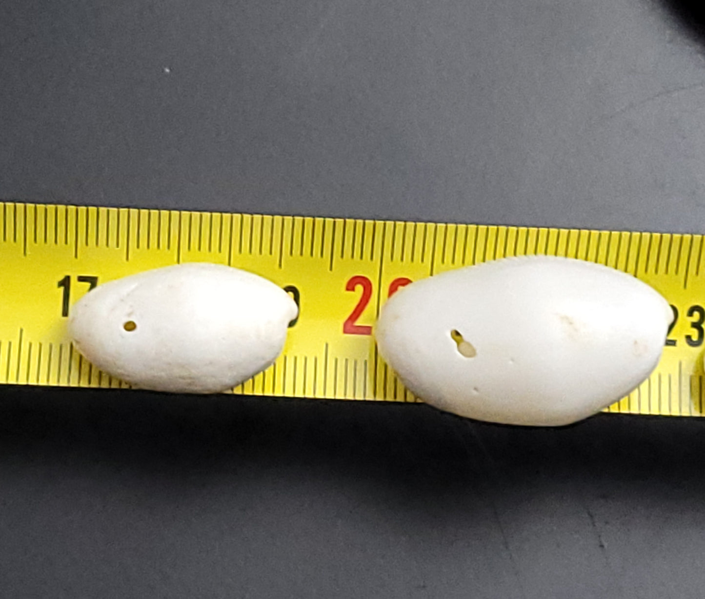 Recycled small drilled natural shells (beads)