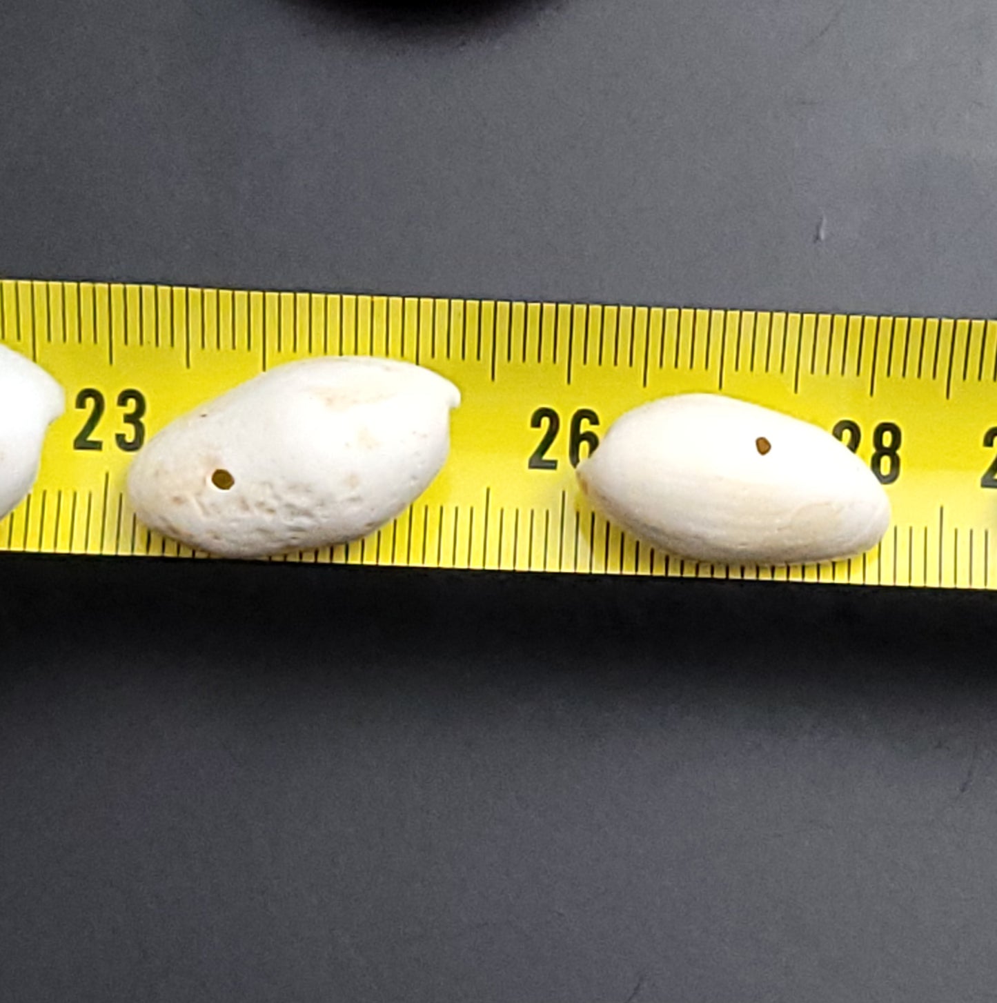 Recycled small drilled natural shells (beads)