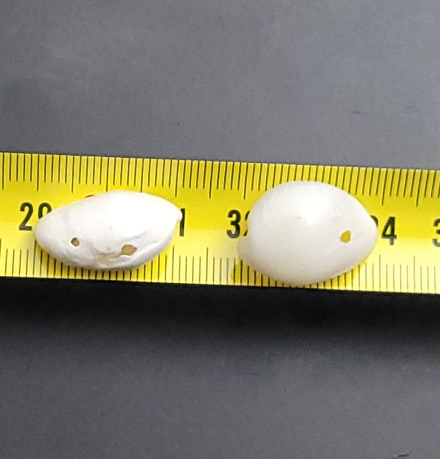 Recycled small drilled natural shells (beads)
